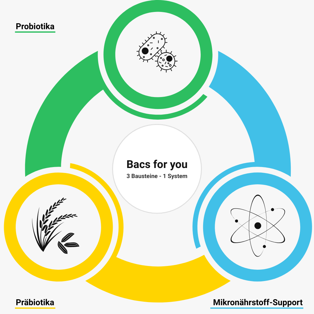 Drei verbundene Module - Probiotika, Präbiotika und Mikronährstoff-Support - mit Bacs for you in der Mitte.